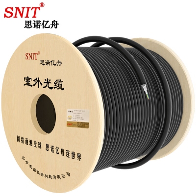 思诺亿舟（SNIT）SN-GYTA-48B1.3 铠装室外单模48芯层绞式光缆光纤线 100米