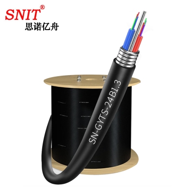 思诺亿舟（SNIT）SN-GYTS-24B1.3 电信级室外单模24芯光缆 铠装层绞式光钎光纤线 3000米